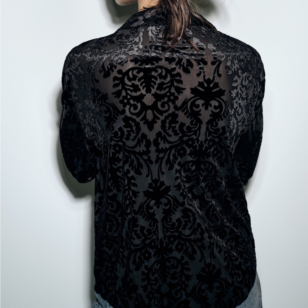 Zara Jacquard Velvet Button Down Top